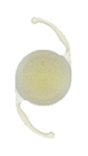 Clareon PanOptix Trifocal（クラレオン パンオプティクス トリフォーカル）
